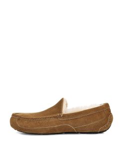 Uomo UGG | Ascot Castagna