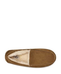 Uomo UGG | Ascot Castagna