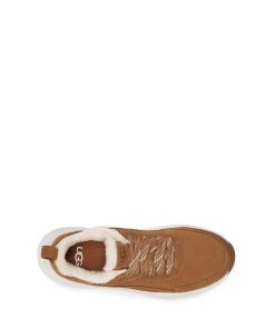 Donna UGG Sneakers | Patrimonio della Glide Camoscio Castagna