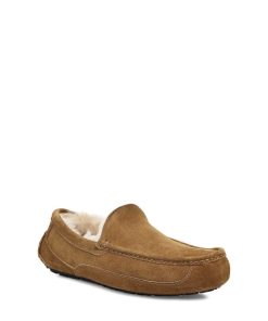 Uomo UGG | Ascot Castagna