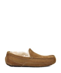 Uomo UGG | Ascot Castagna